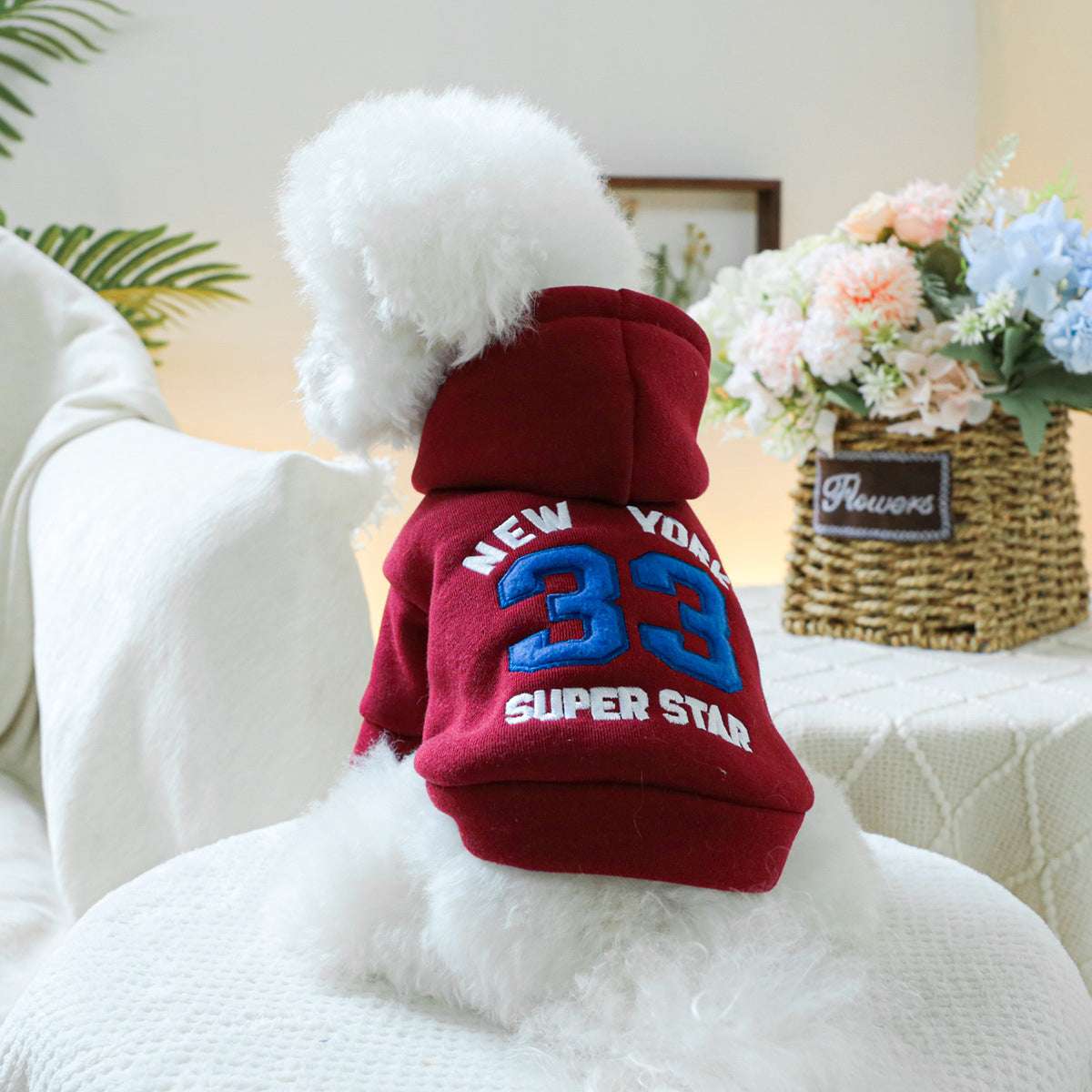 🐶NEW IN|Warm Winter Coat for Small Dogs