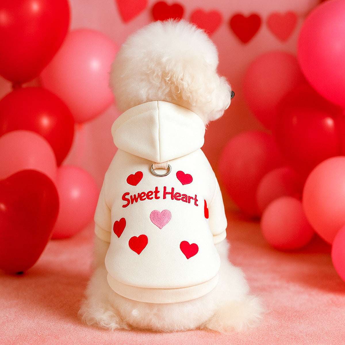 🐶NEW IN|Warm Winter Coat for Small Dogs