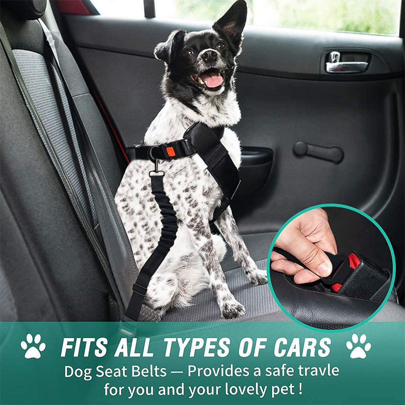 Dog Seat Belt (2 Pack)Heavy Duty & Elastic