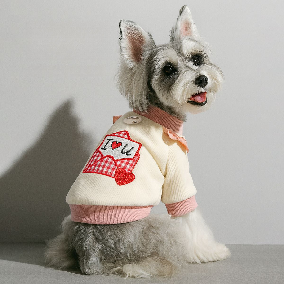 🐶NEW IN|Warm Winter Coat for Small Dogs