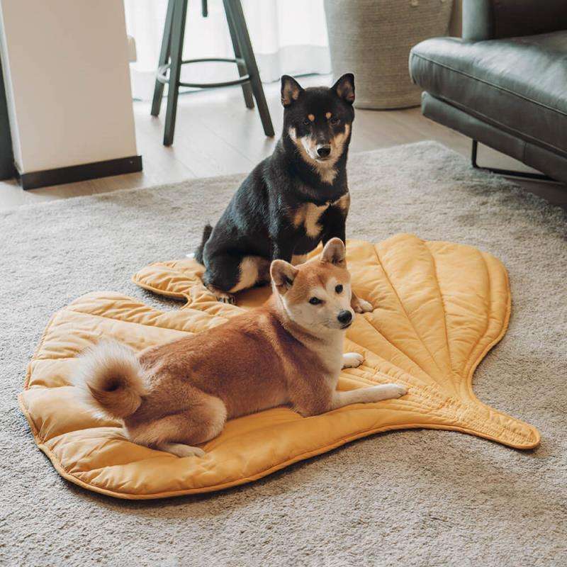 Leaf-Shaped Pet Blanket