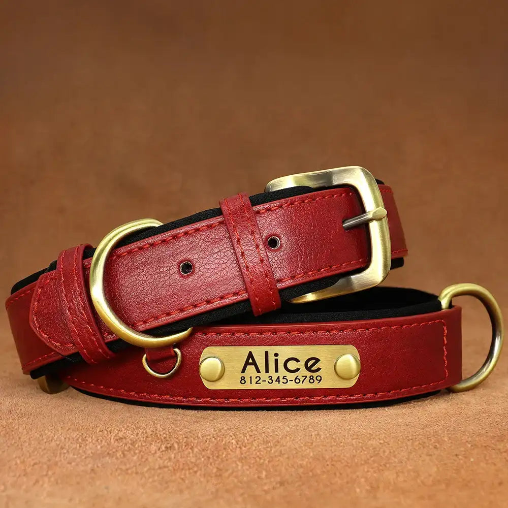 Personalized Leather Dog Collar