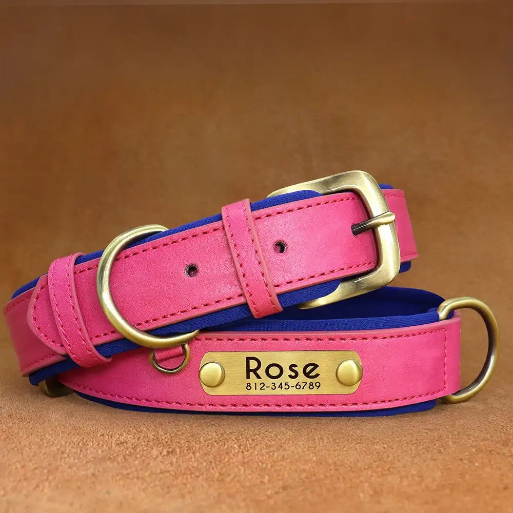 Personalized Leather Dog Collar