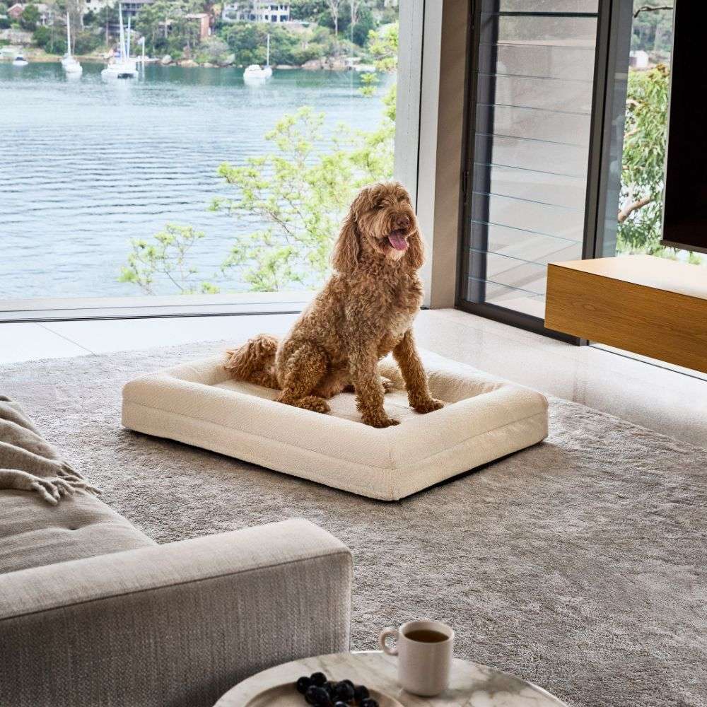 Orthopedic Memory Foam Dog Bed