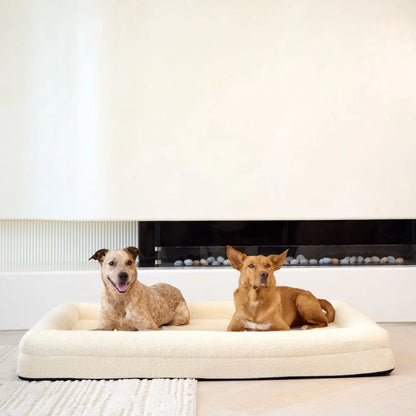 Orthopedic Memory Foam Dog Bed