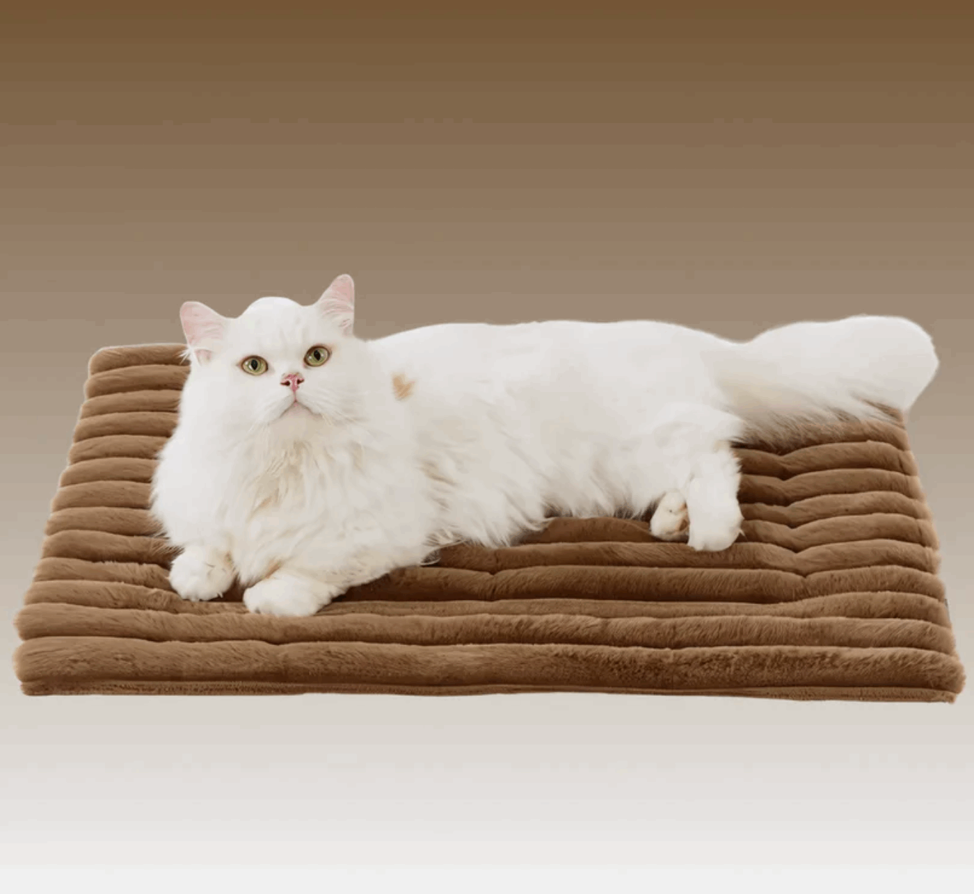 Self Heating Pet Mat for Dogs & Cats｜Buy 1 Get 1 Free