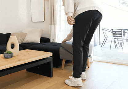 🐾 Ottoman & Dog Ramp