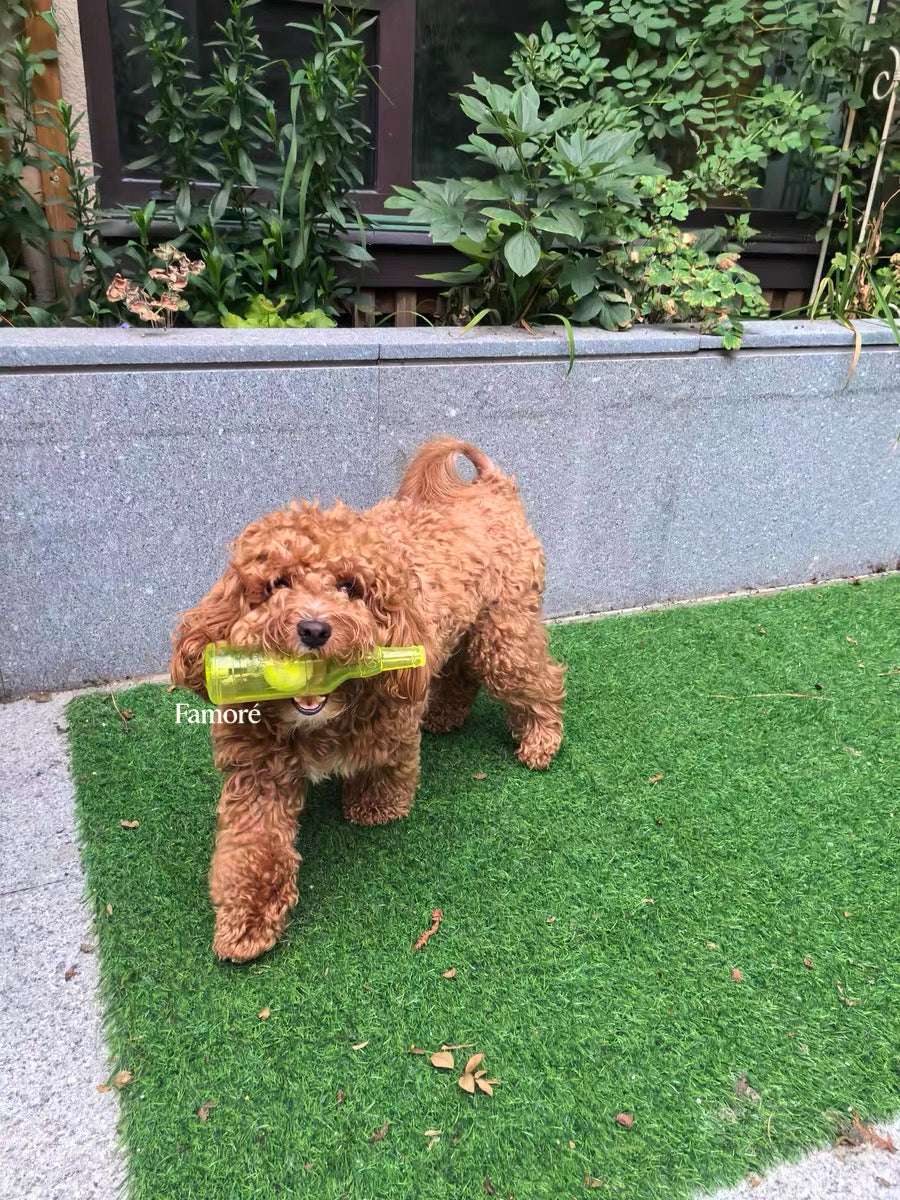 Rubber Bottle Squeaky Dog Toy | Interactive Dog Toy with Tennis Ball