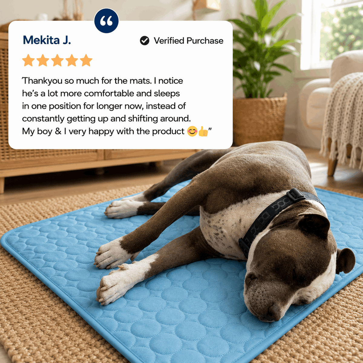 Famoré™ Pet Cooling Mat