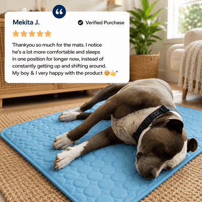 Famoré™ Pet Cooling Mat