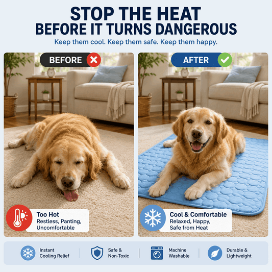 Famoré™ Pet Cooling Mat
