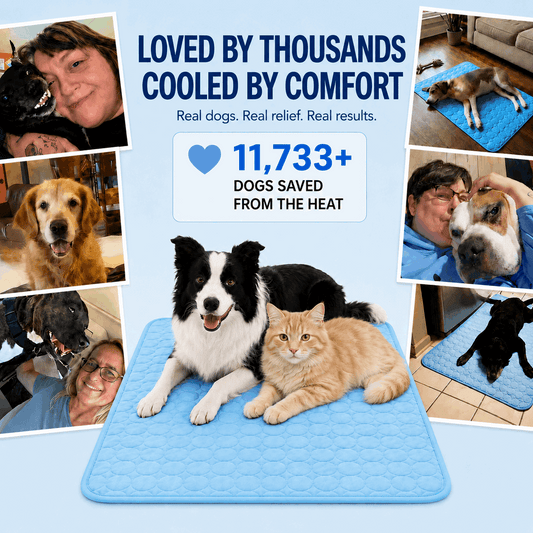 Famoré™ Pet Cooling Mat