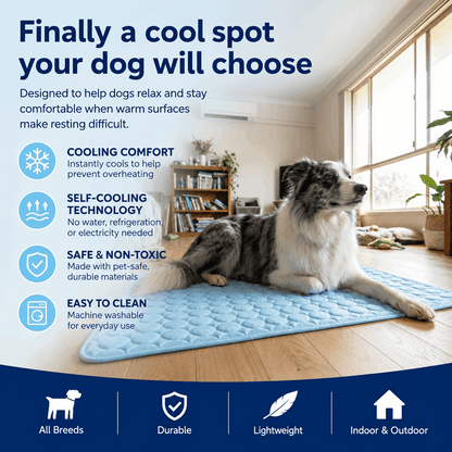 Famoré™ Pet Cooling Mat