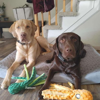 Two dogs sitting on a rug with chew toys in a home setting