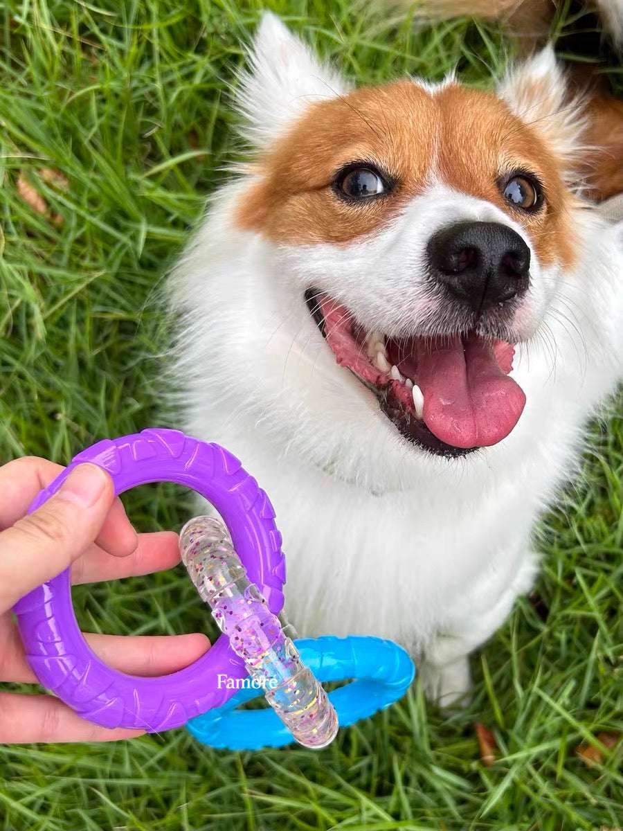 3-Ring Tug Dog Toy | Safe & Durable