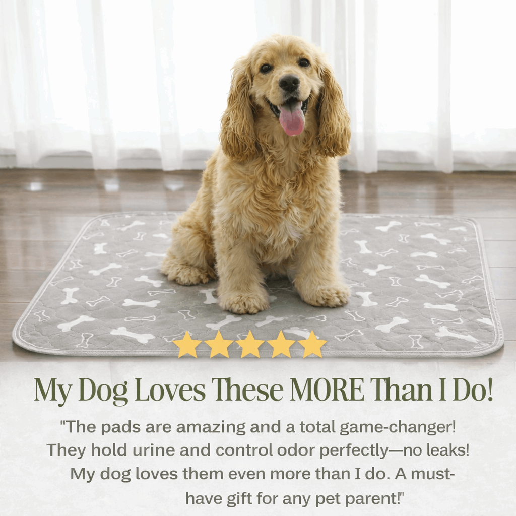 Famoré™ Washable Durable Pee Pad