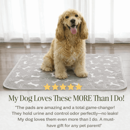 Famoré™ Washable Durable Pee Pad