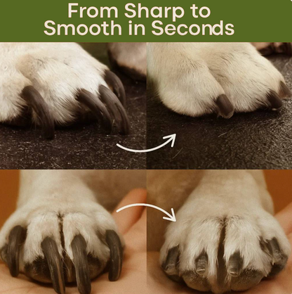 2-in-1 Pet Nail Trimmer & Grinder with LED Light