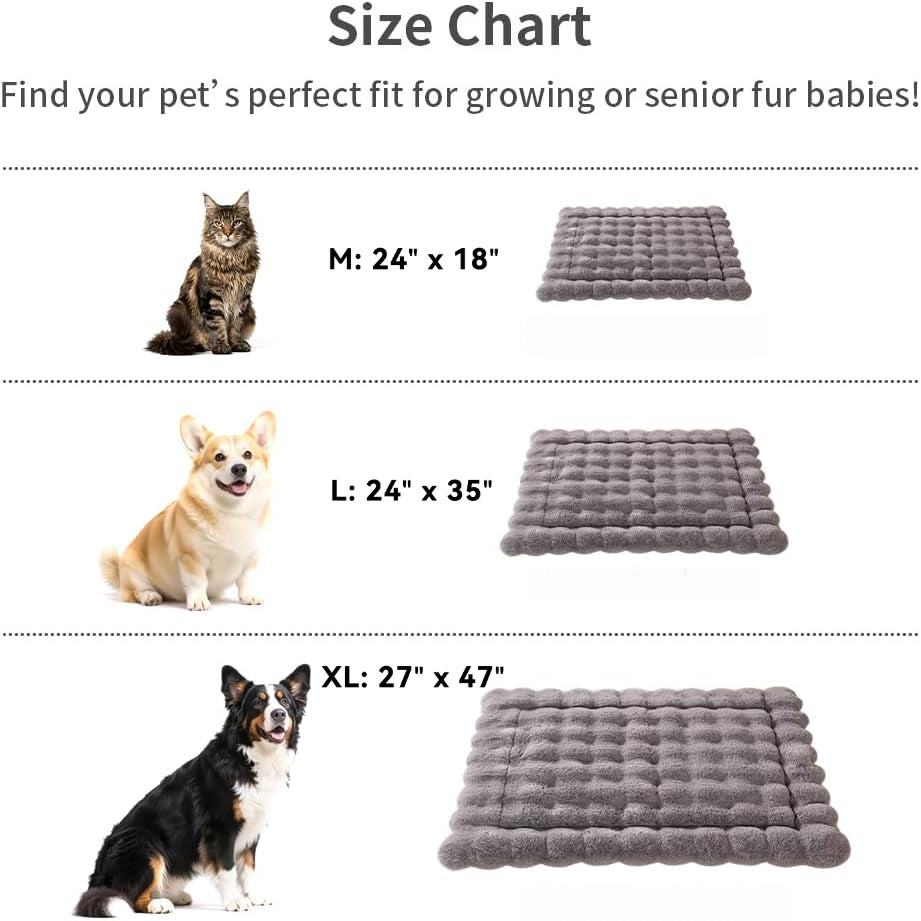 Size chart image